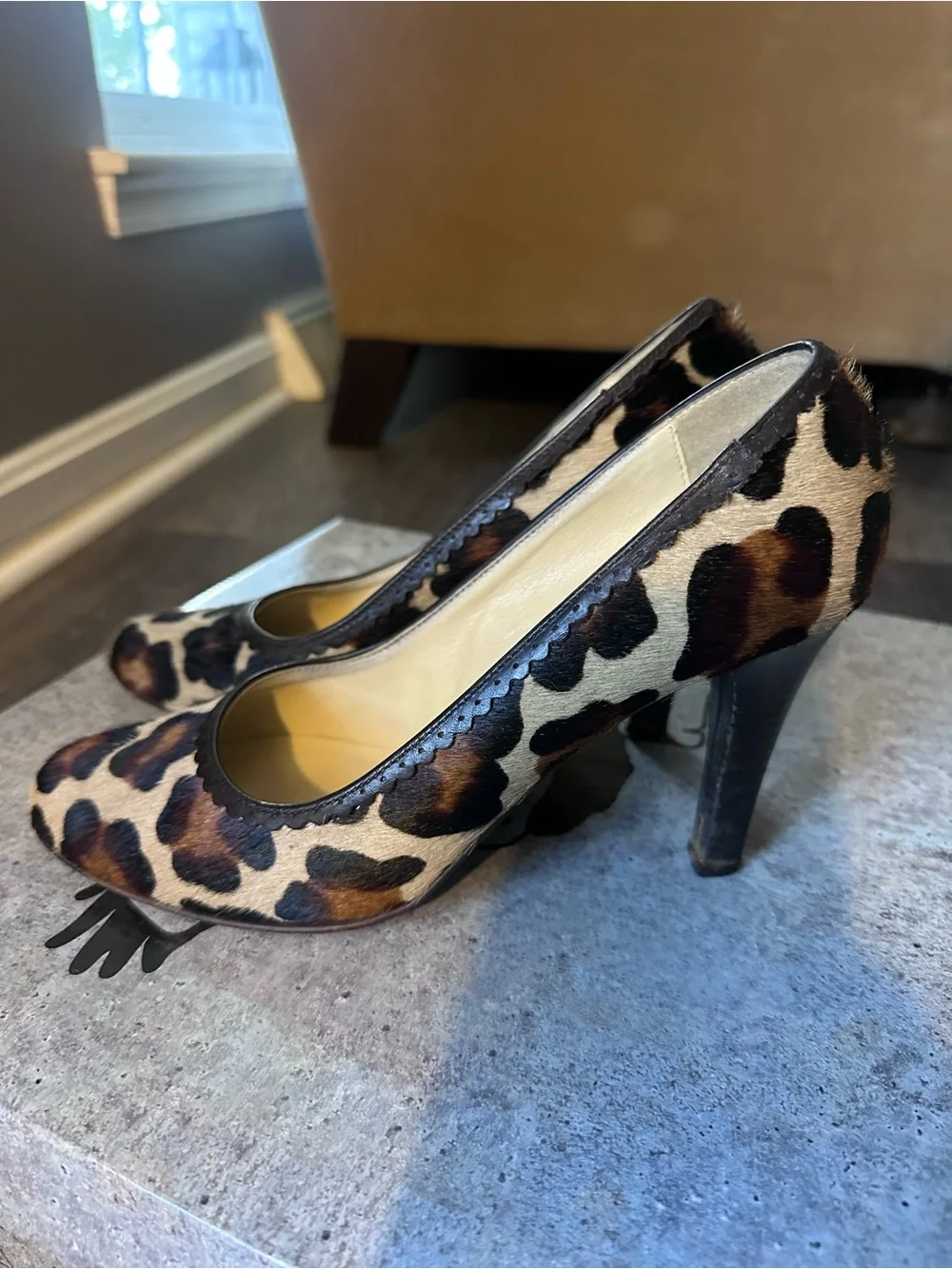 Franco Barbieri stylish leopard